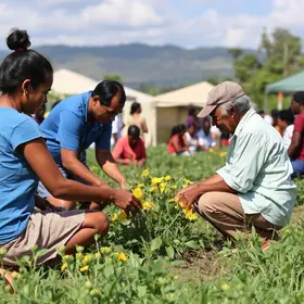 Poupatempo Araraquara